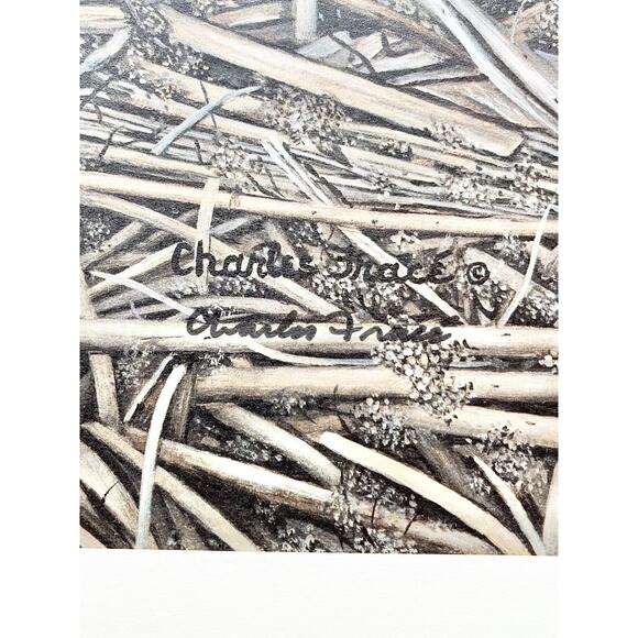 1983 Charles Fracé “My Friend, Rabbit” Signed Lithograph Print 23”X19” - Picture 7 of 9